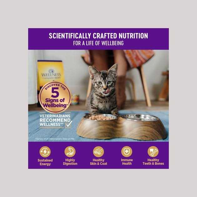 Natural Grain Free Gravy Cat Food Pouch G431