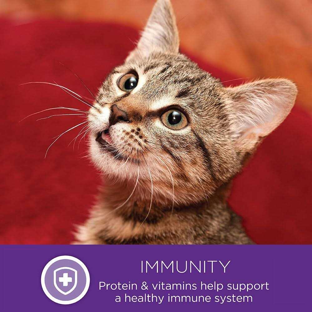Natural Grain Free Gravy Cat Food Pouch G431