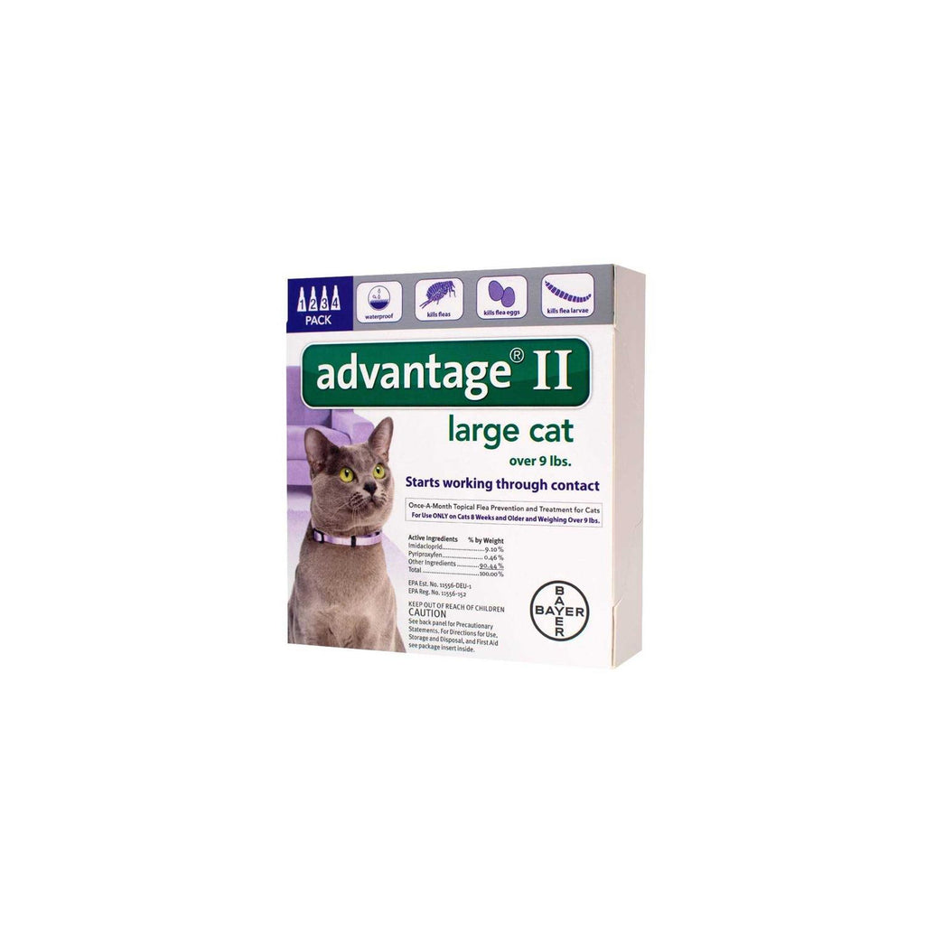 Flea Treatment Cats L918738