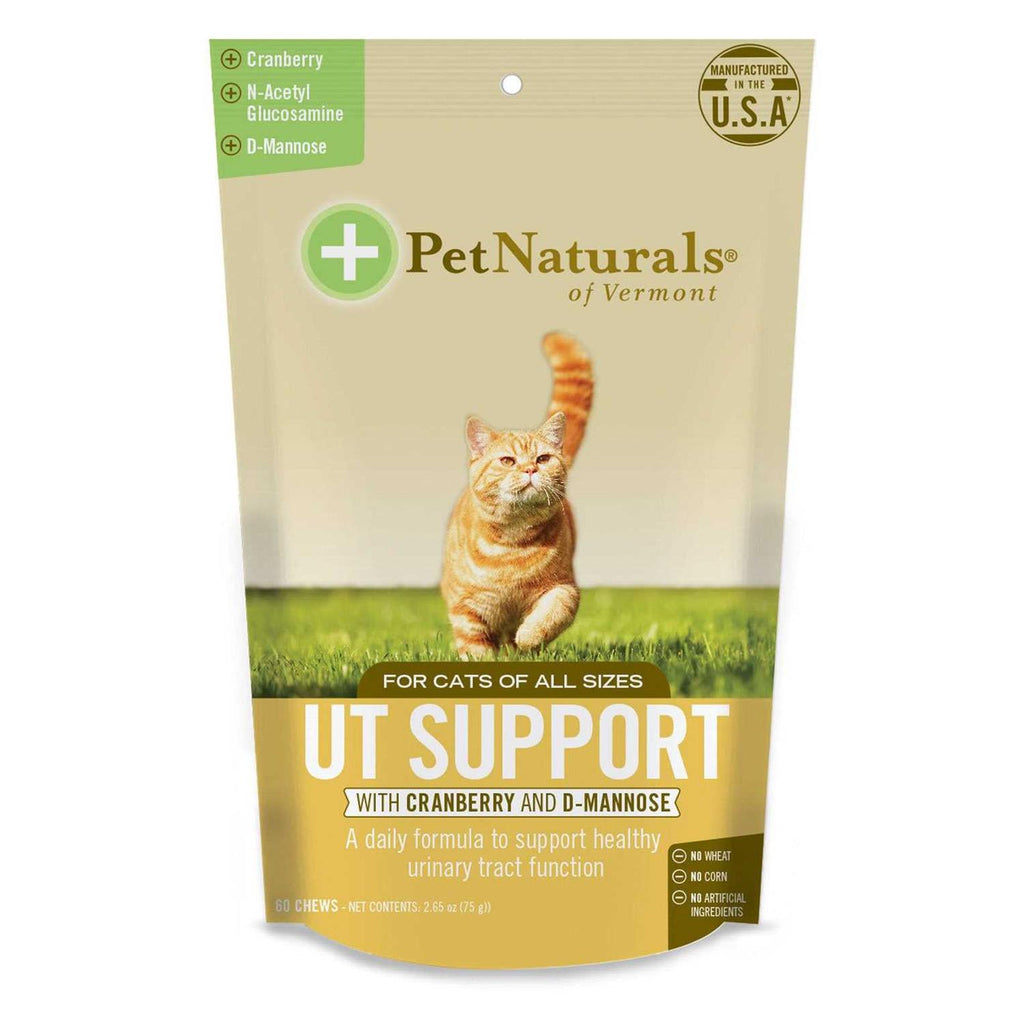 Daily Probiotic for Cats H91375