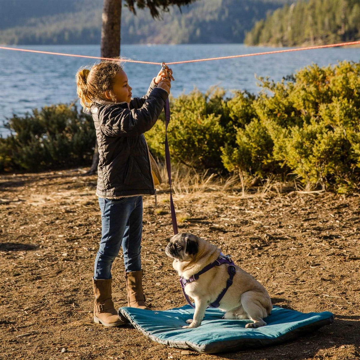 Dog Hitch V51285