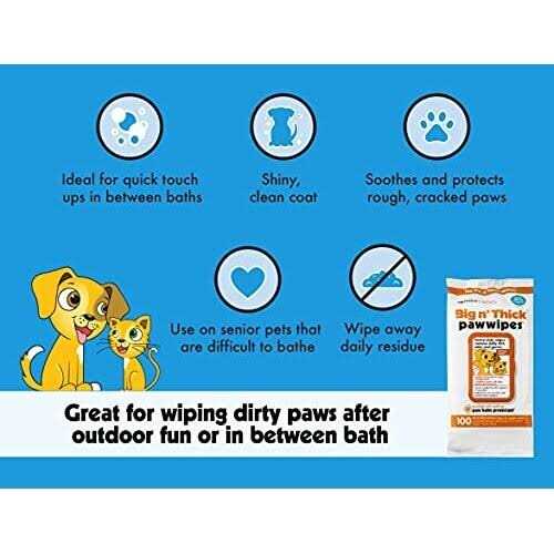 Pet Wipes 100 U935756
