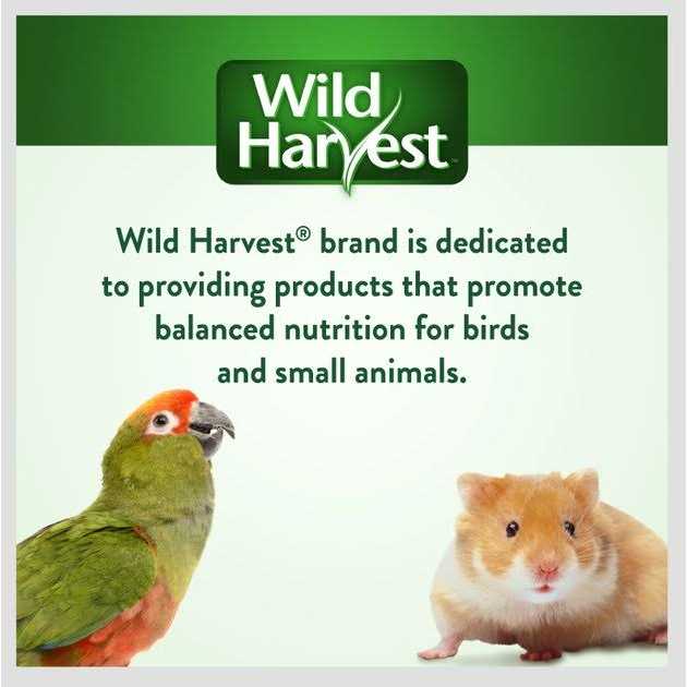Daily Blend Parakeet V64395
