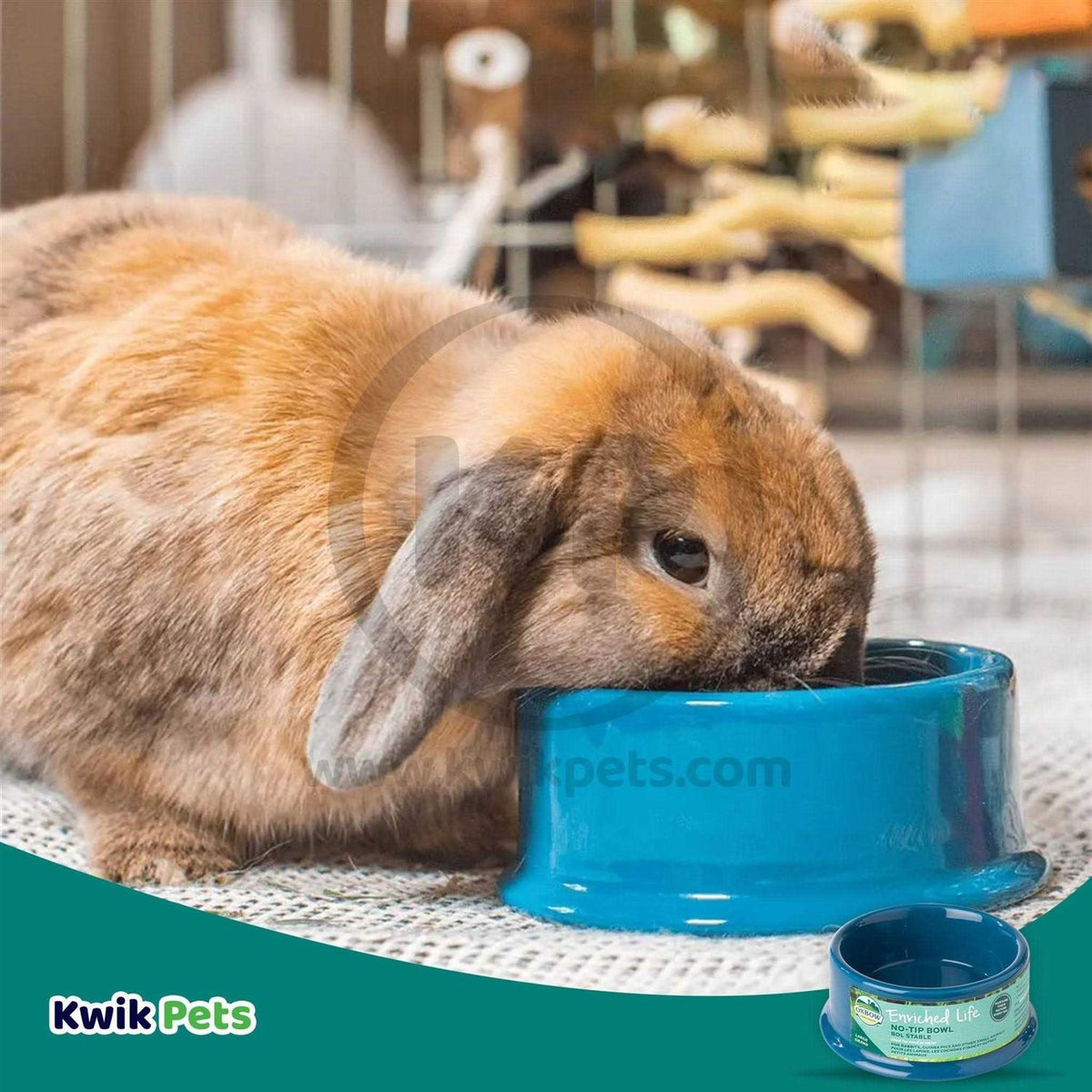 Small Animal Bowl W64851