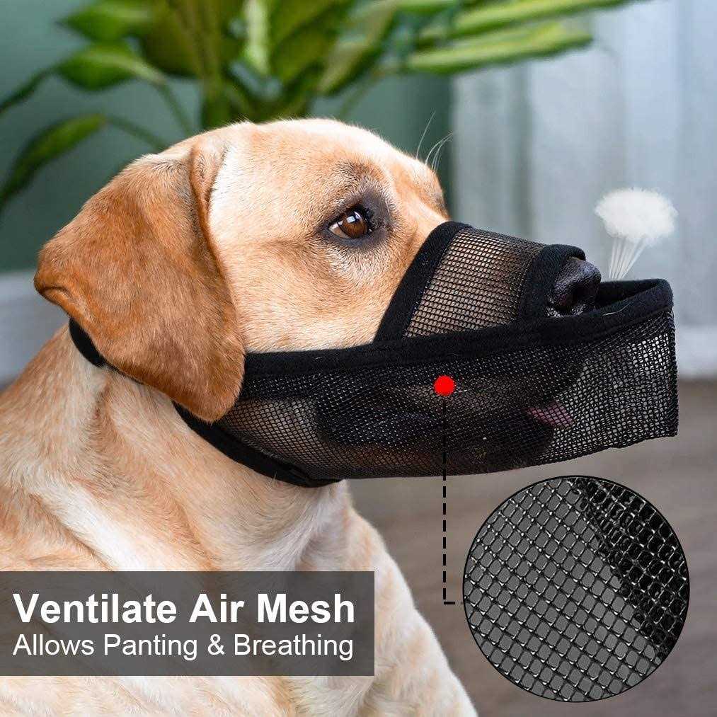 Nylon Dog Muzzle Y80990