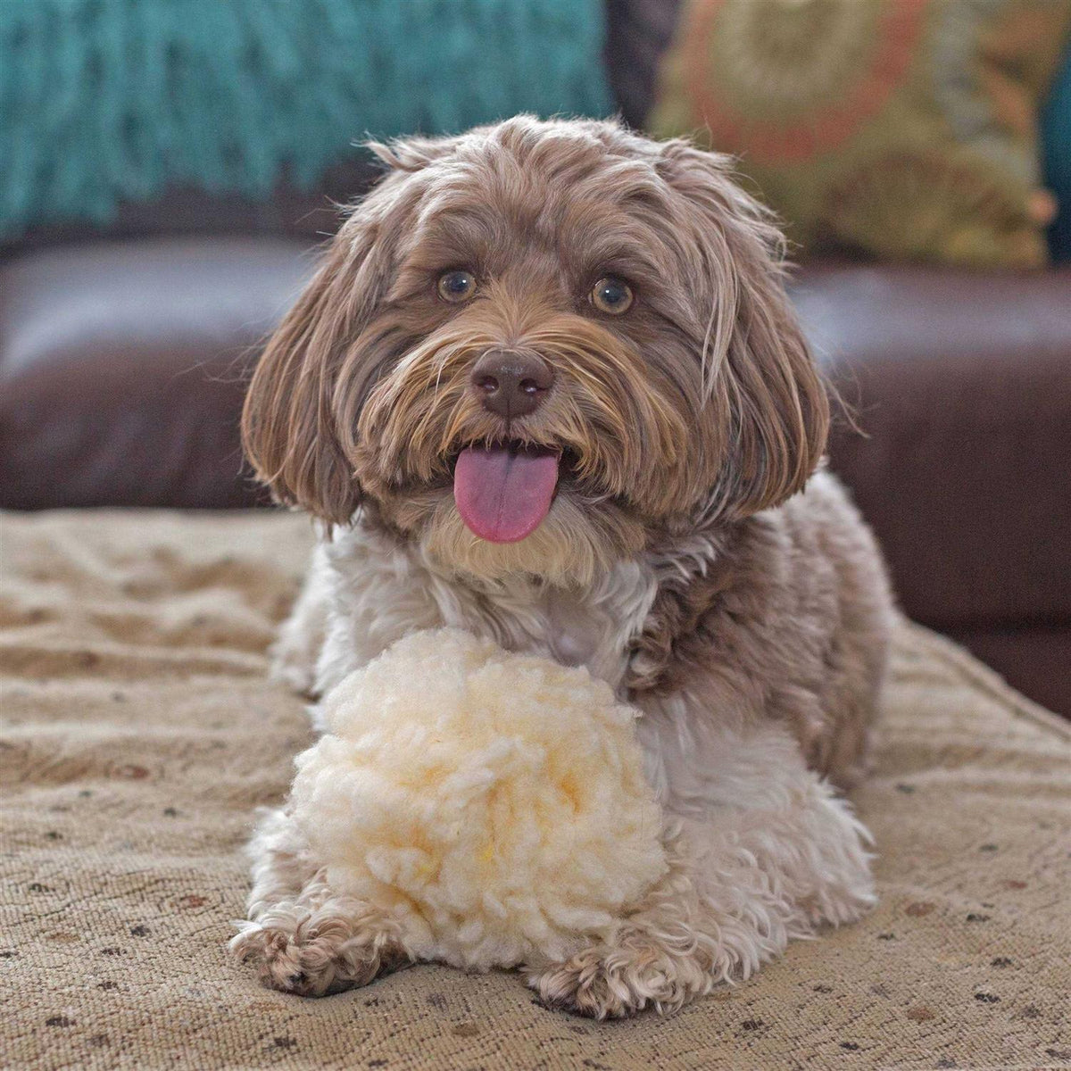 Fleece Ball Dog Toy Q304