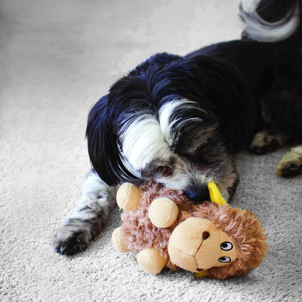 Pig Dog Toy X85861