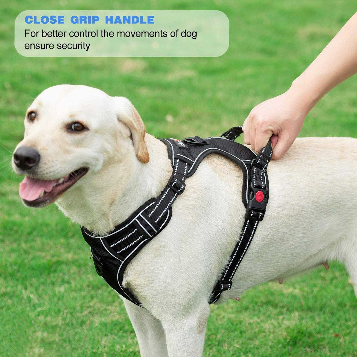 Adjustable Reflective Oxford Dog Harness with 5ft Dog Leash Y522200