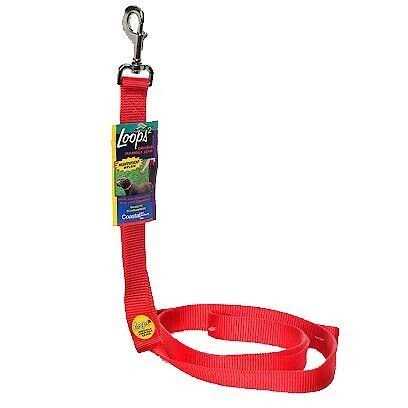 Double-Ply Nylon Traffic Leash H38509