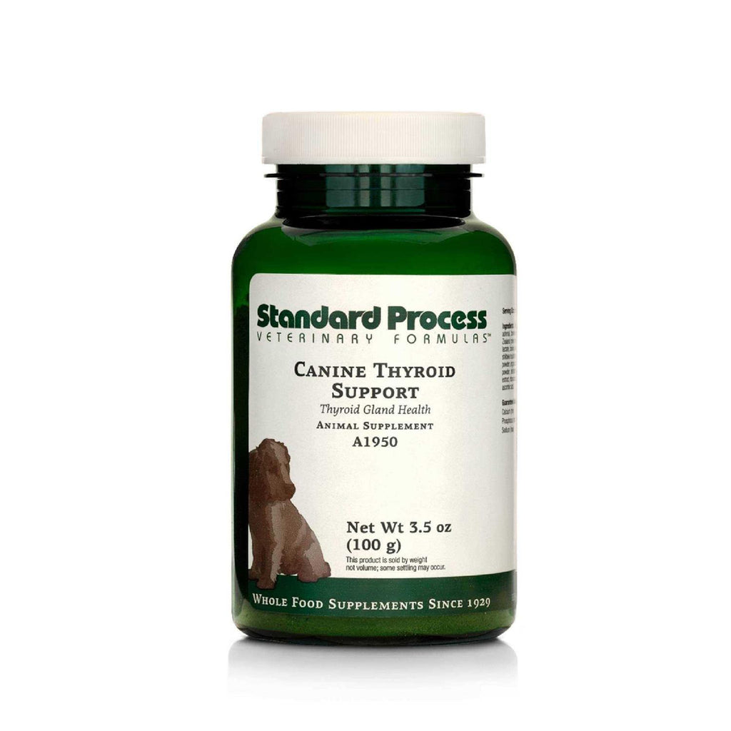 Thyroid Support P47981