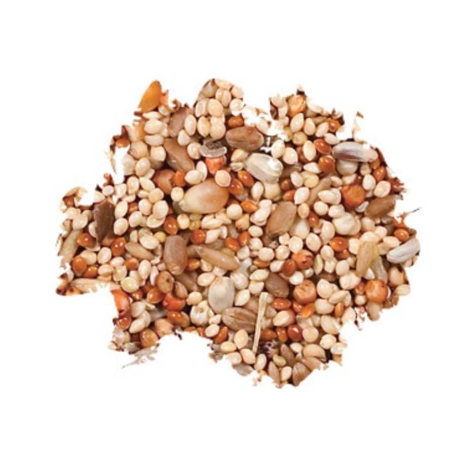 Dove Quail Food V952775