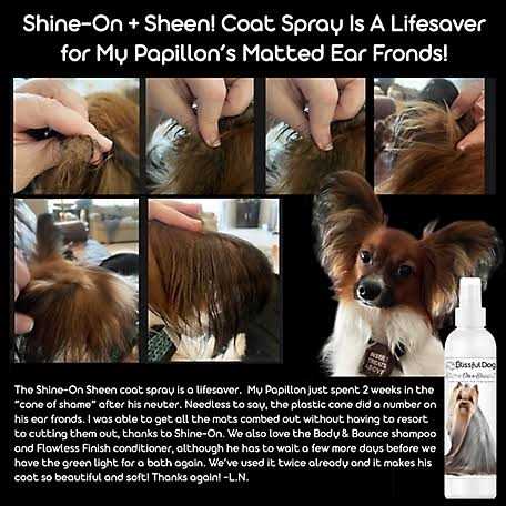 All Natural Leave-in Conditioner and Coat Detangler for Dogs K750371