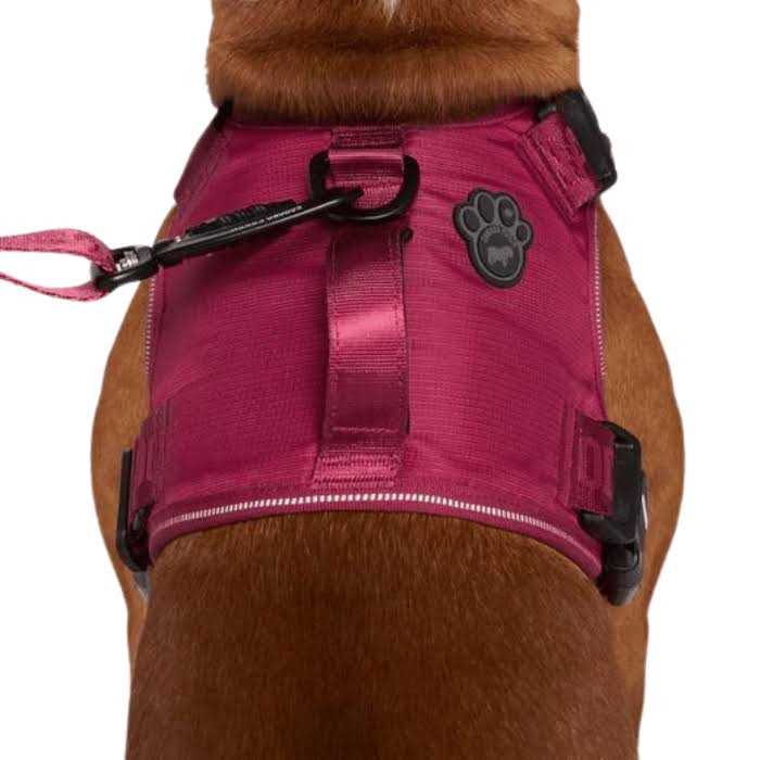 Complete Control Dog Harness C980181
