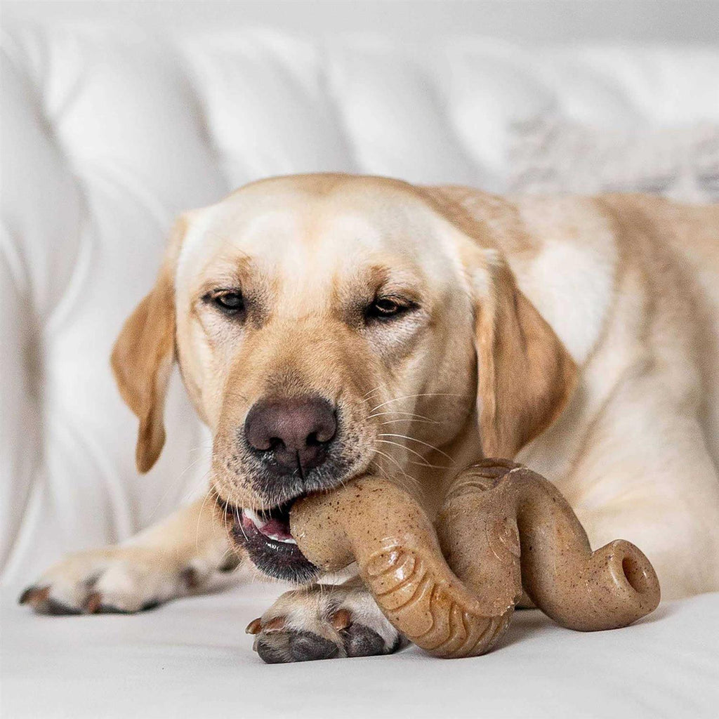 Dog Chew S6500