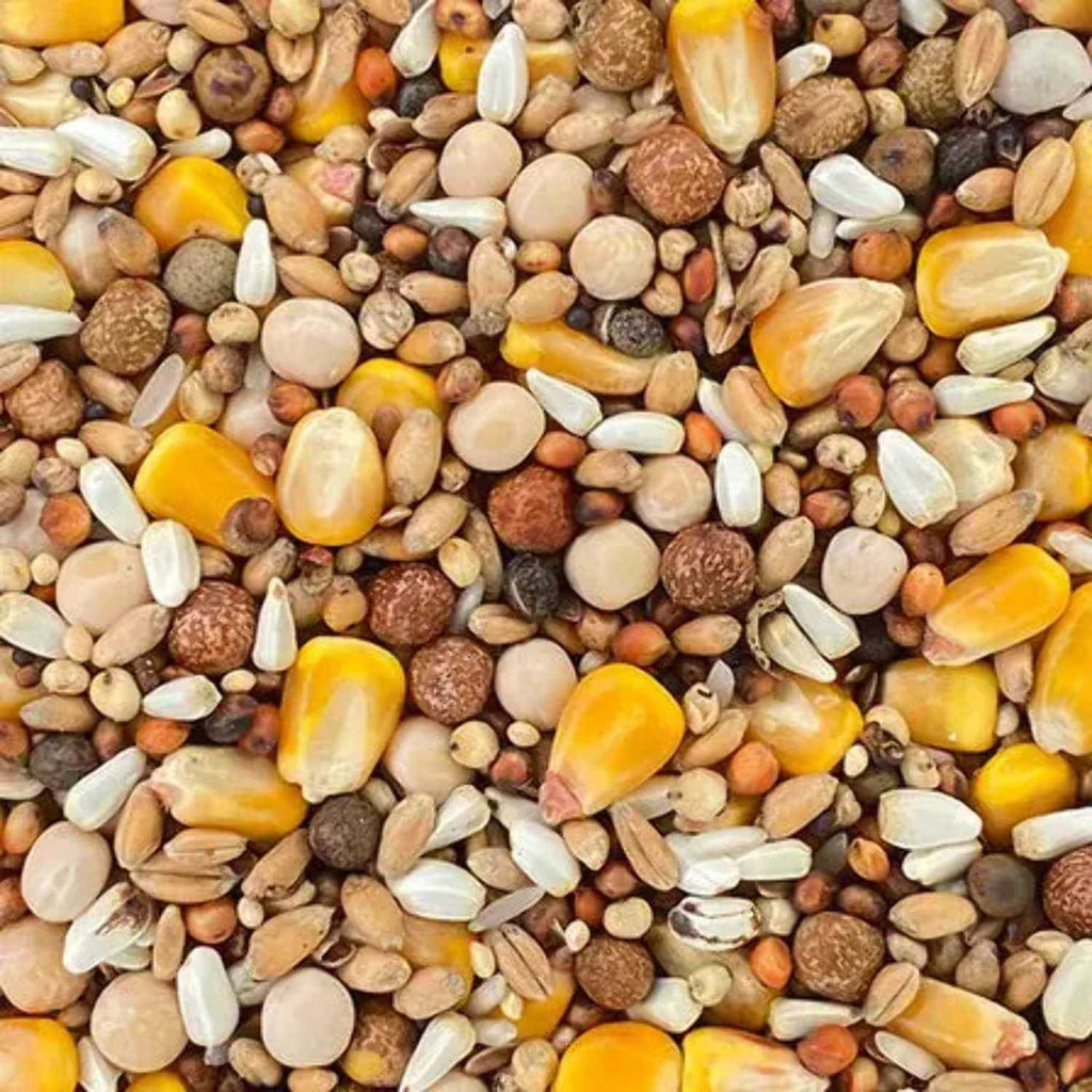 Pigeon Foods 50lbs N956402