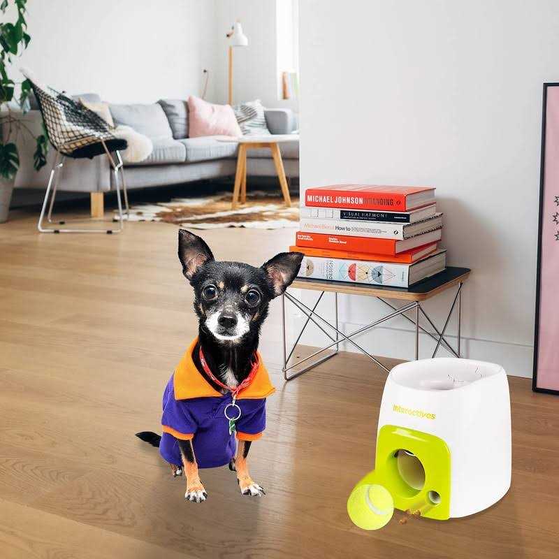 Interactive Dog Toy V47998