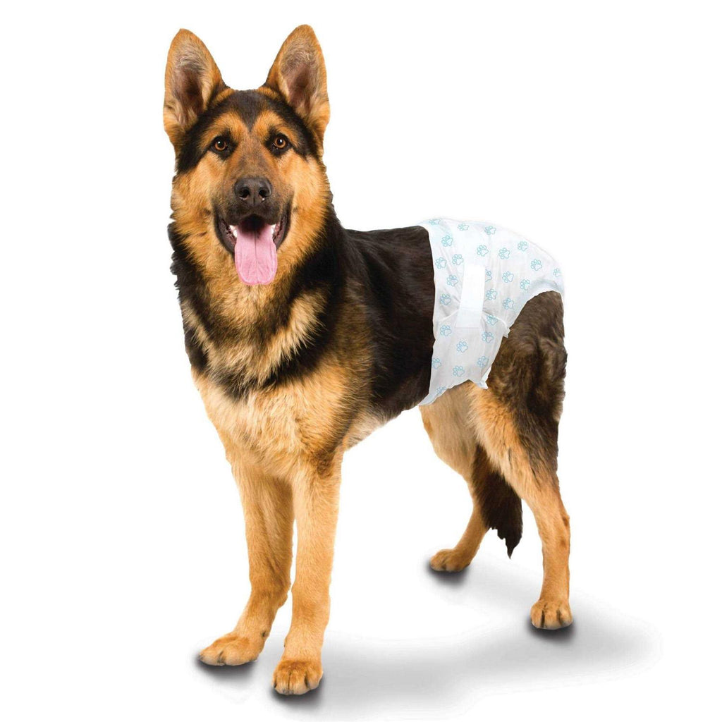 Disposable Diapers F5002