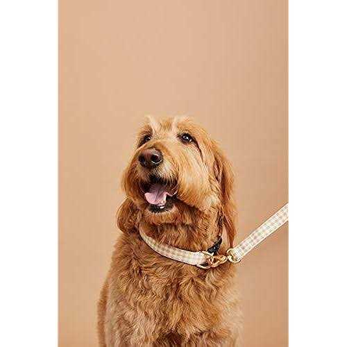 Gingham Dog Collar E571746