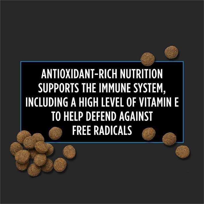 Veterinary Diets Dry Dog Food R8458