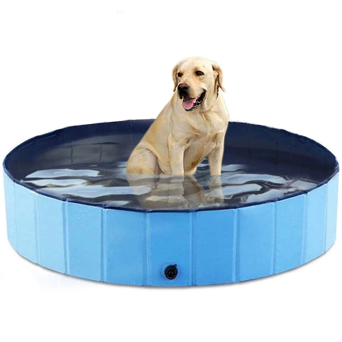 48 x 12 inch Collapsible Blue Pet Pool Y752579