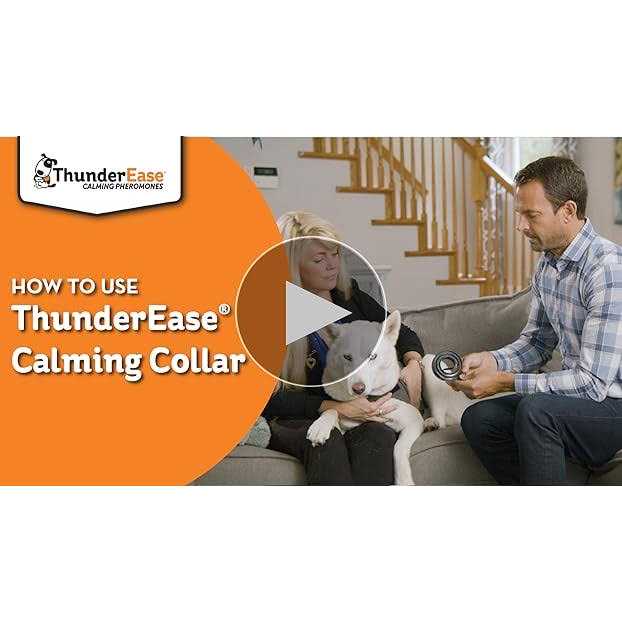 Calming Dog Collar L238208