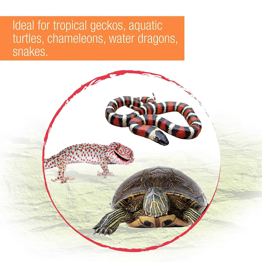 Tropical Reptile Fixture Q6475