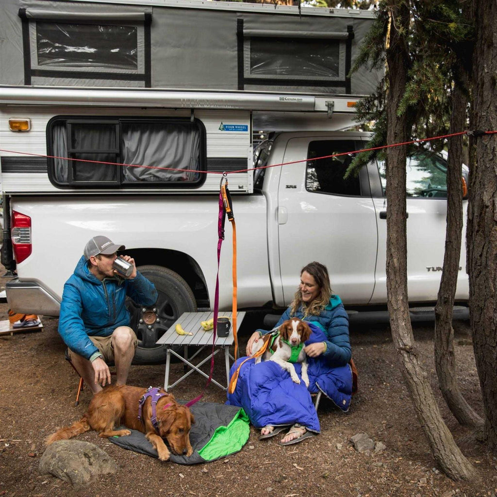 Dog Hitch V51285