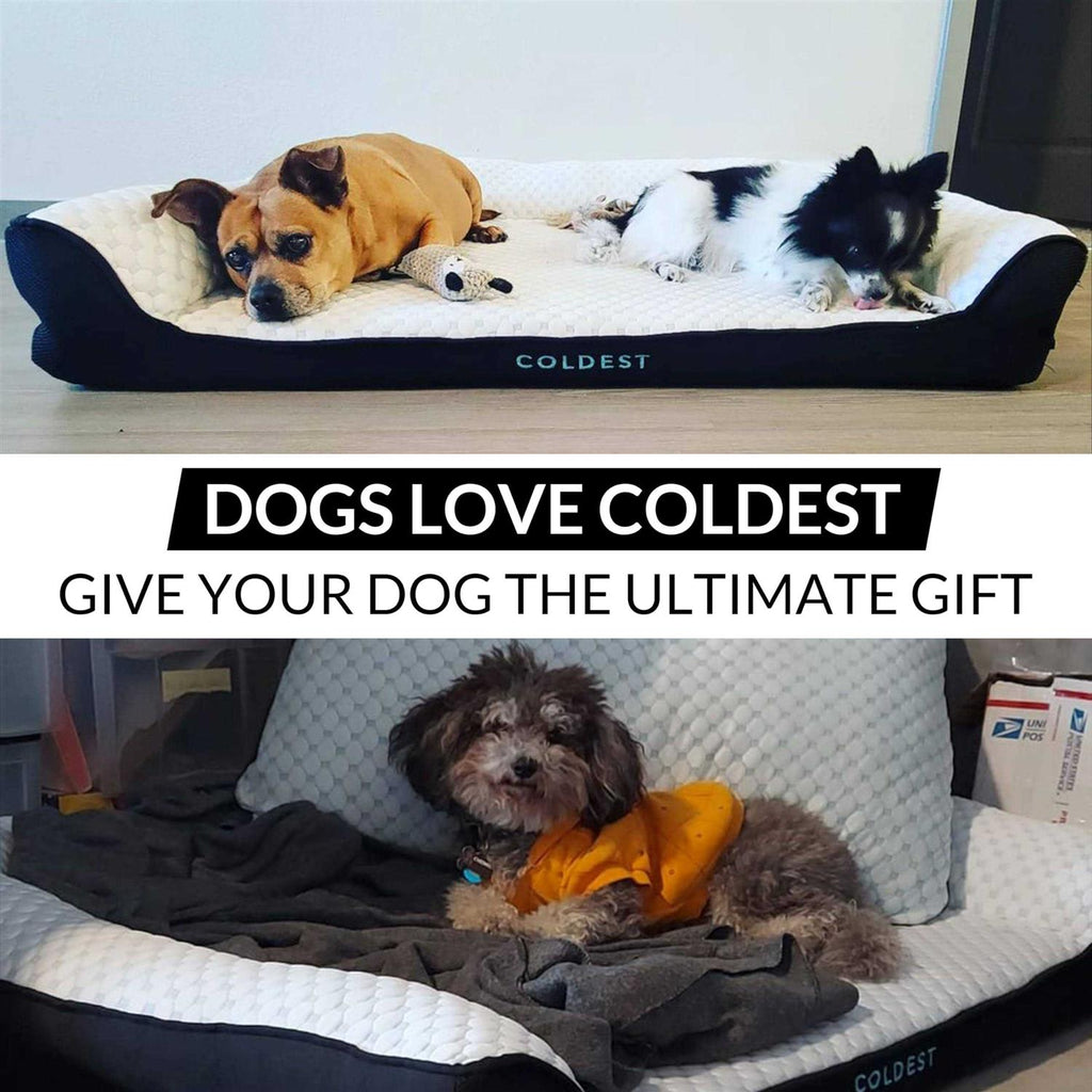 Cozy Cooling Dog Bed R317149