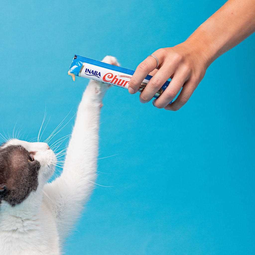 Chicken Recipe Cat Treat U550762