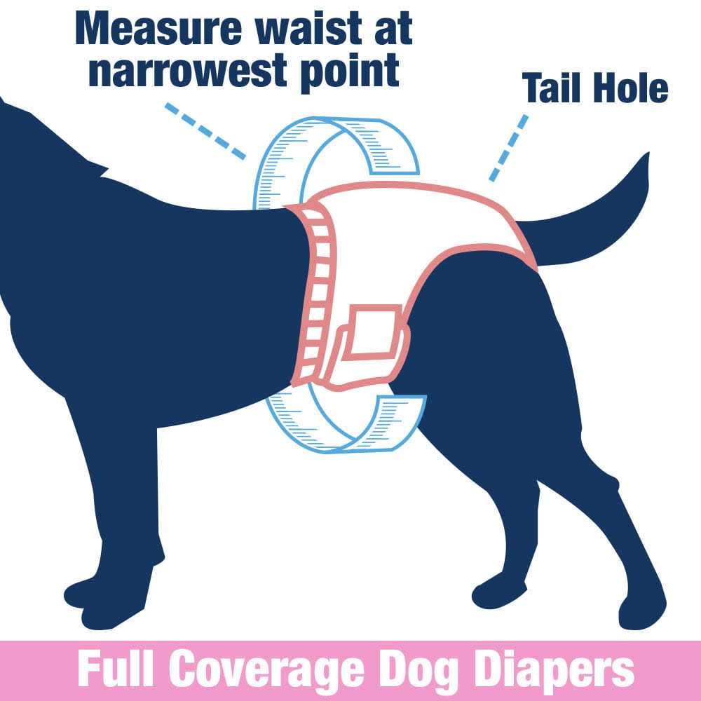 Female Dog Disposable Diapers Y368