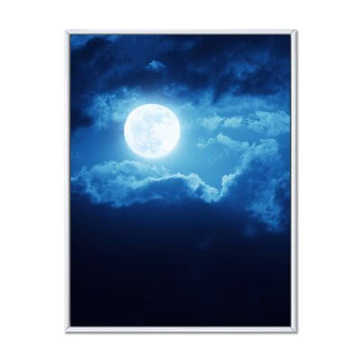 Photograph on Canvas White Floater Frame 20x22 H x 12x22 W P733