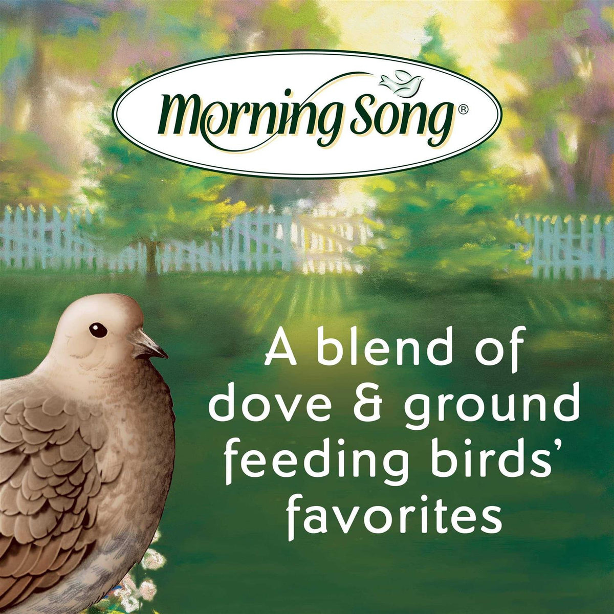 Dove And Ground Feeding Wild Bird Food I958