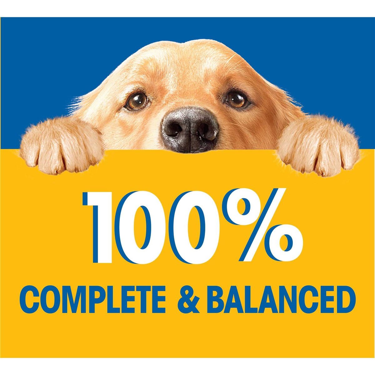 Chicken Wet Dog Food R104588
