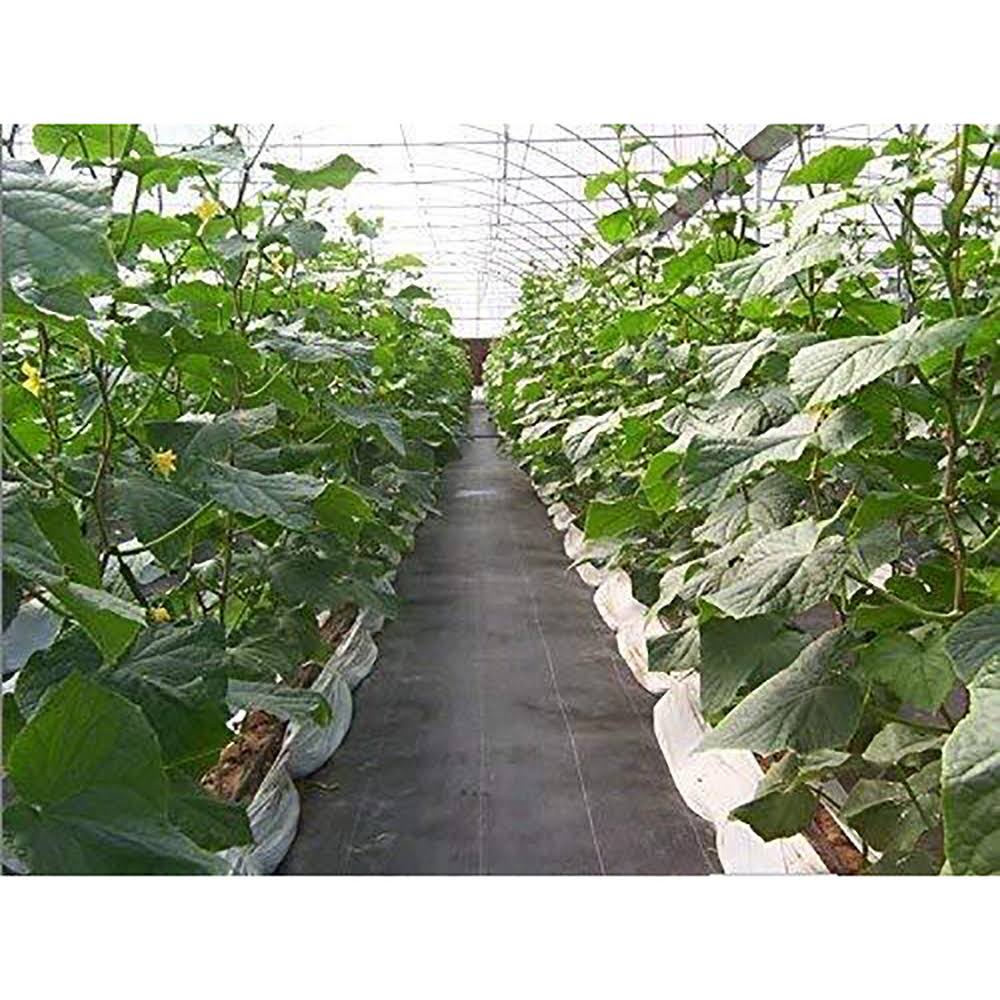 Woven Weed Barrier 3 x 100 foot Black 2 Pack A612456