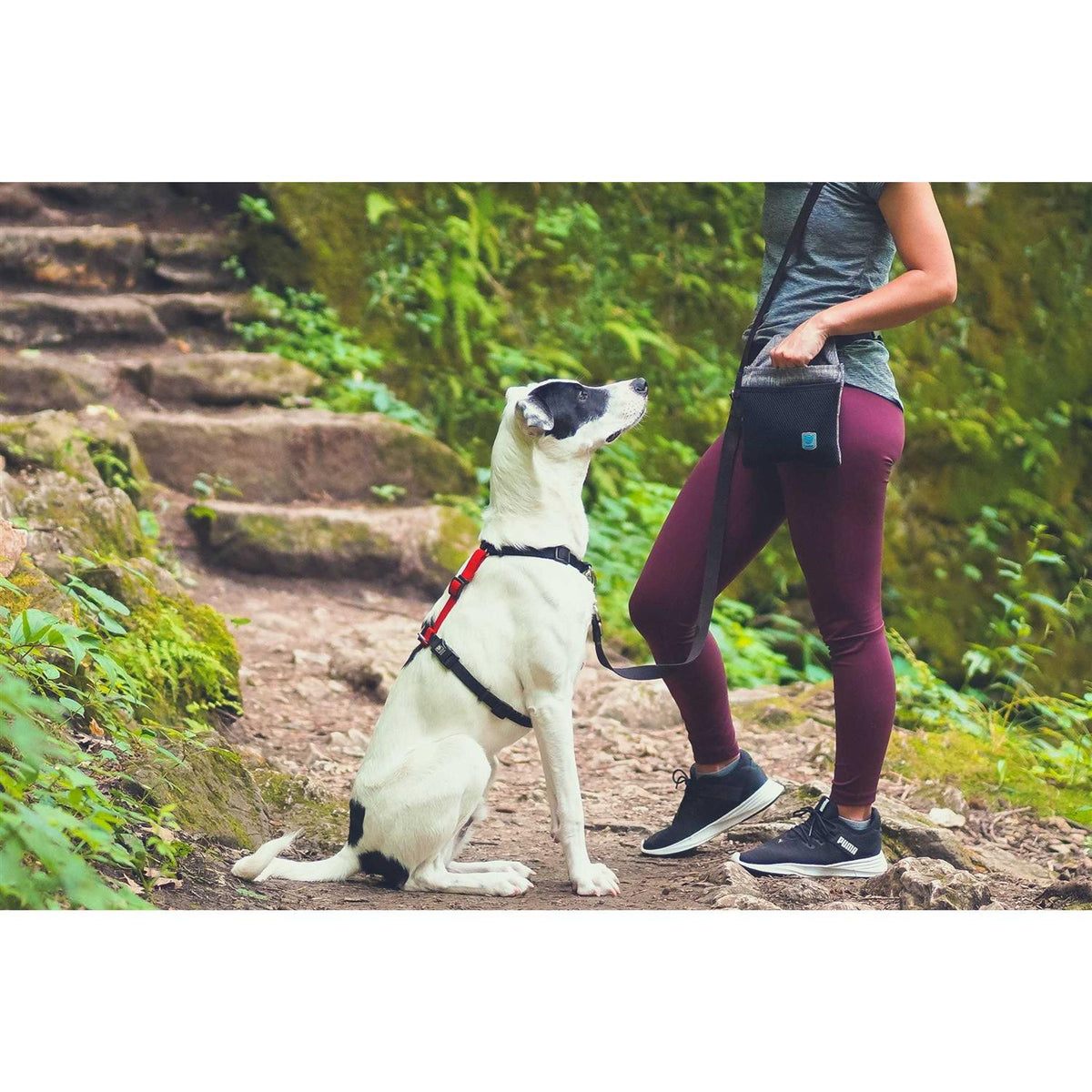 Buckle-Neck No-Pull Dog Harness G4352