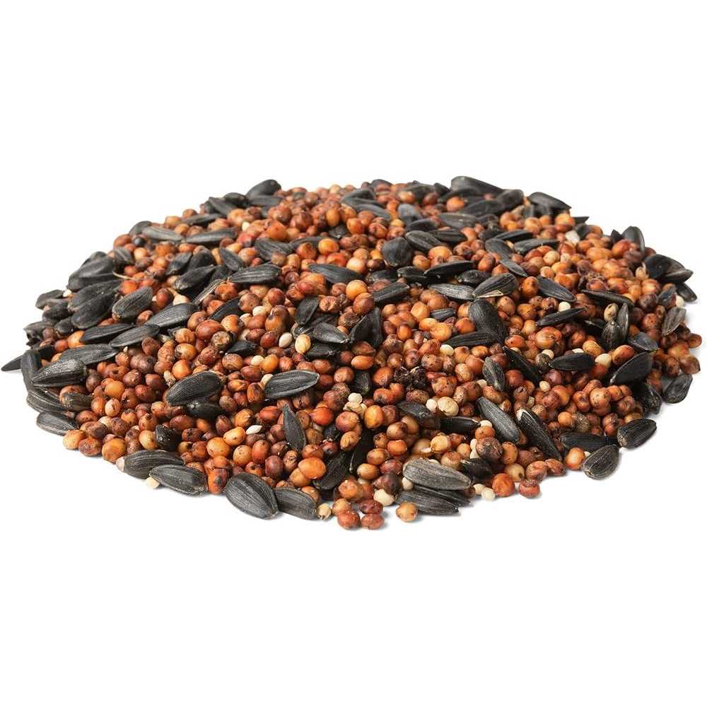 Dove And Ground Feeding Wild Bird Food I958