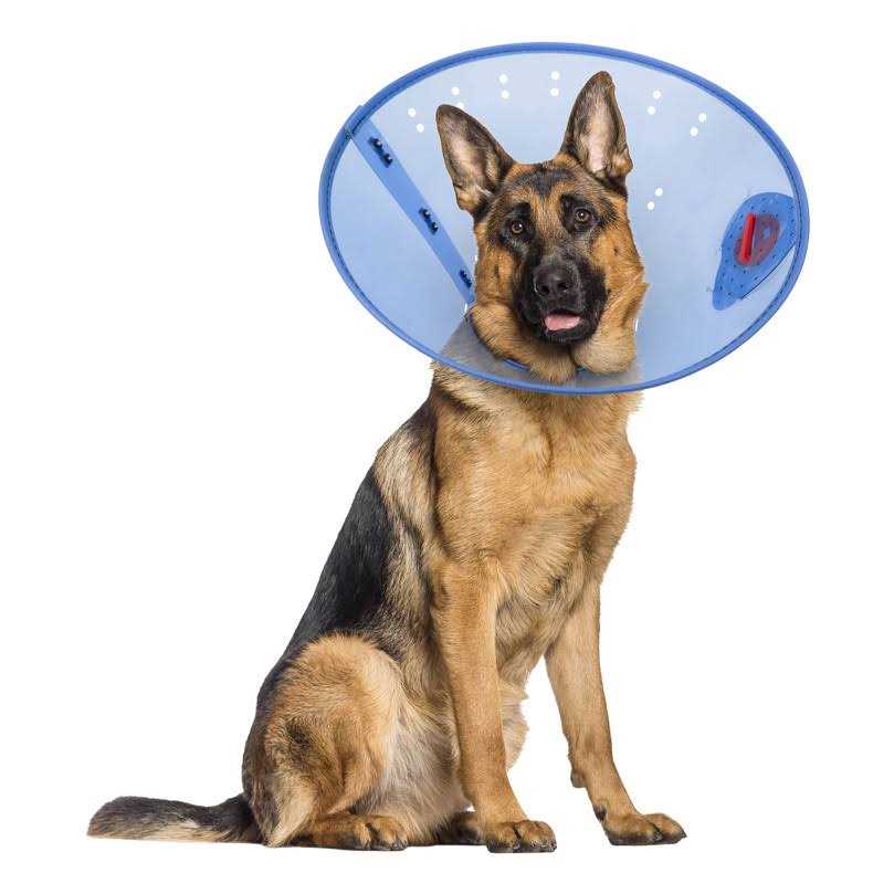 Calming Dog E-Collar K385