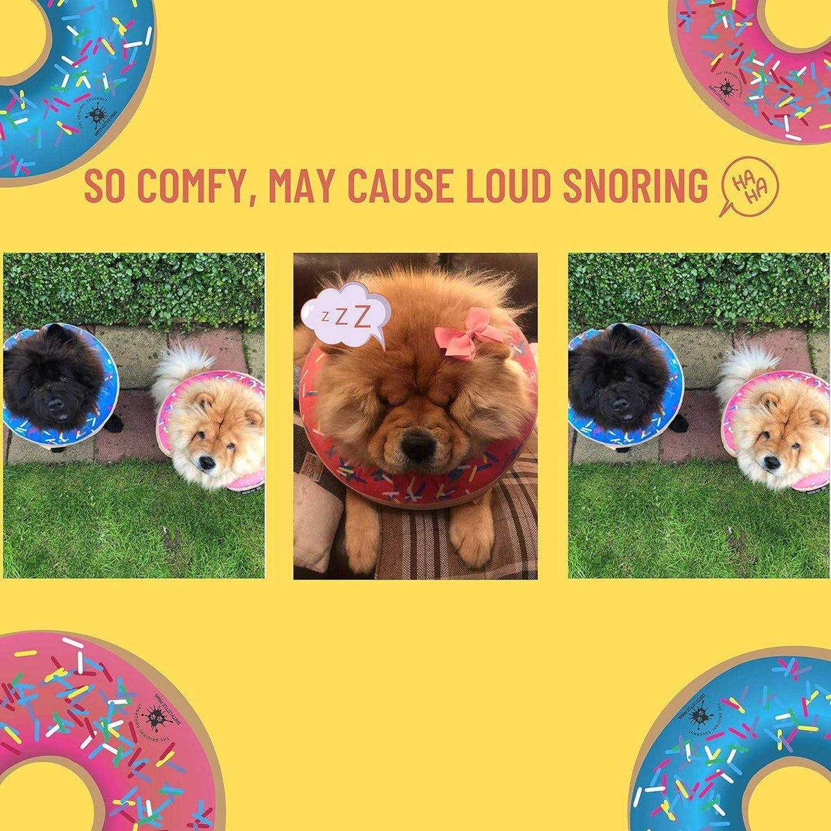Dog Donut Collar P909331