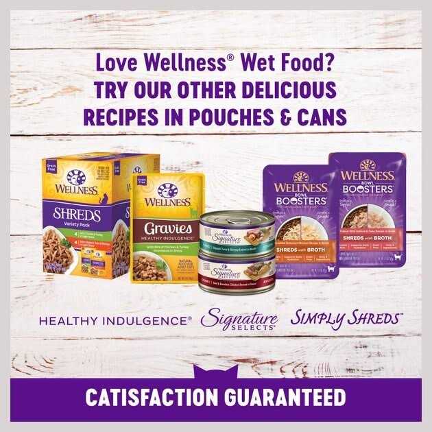 Natural Grain Free Gravy Cat Food Pouch G431