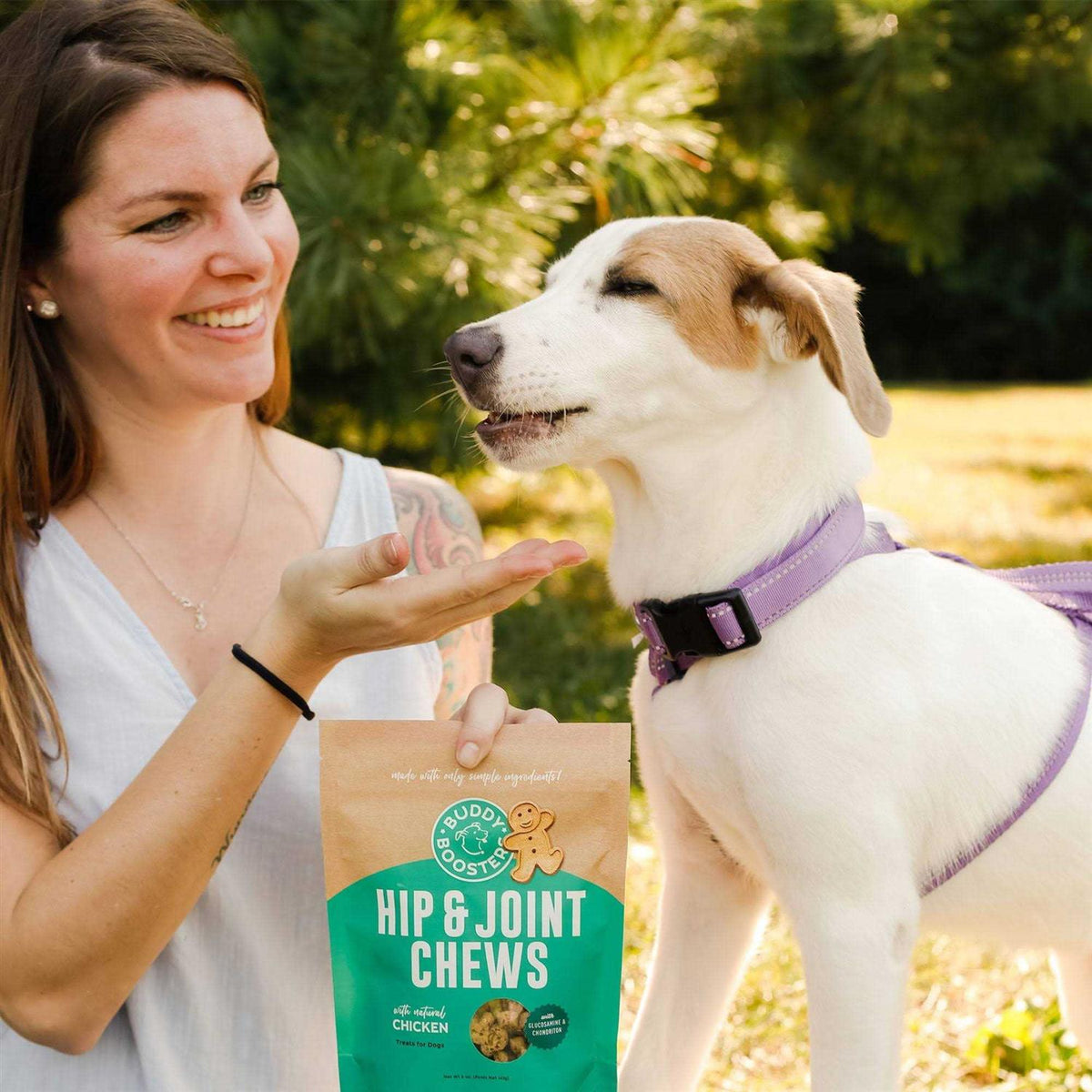 Chicken Hip & Joint Dog Treats G366627