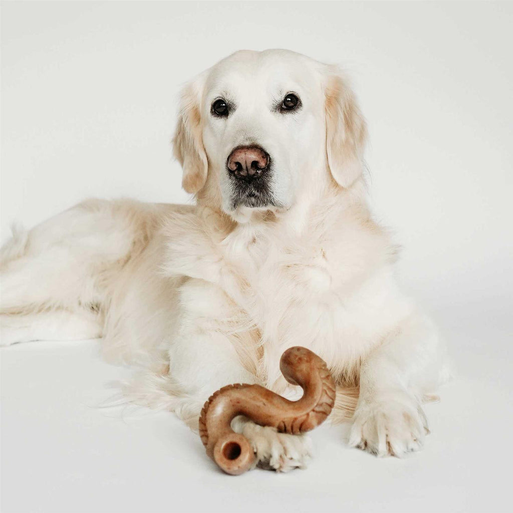 Dog Chew S6500