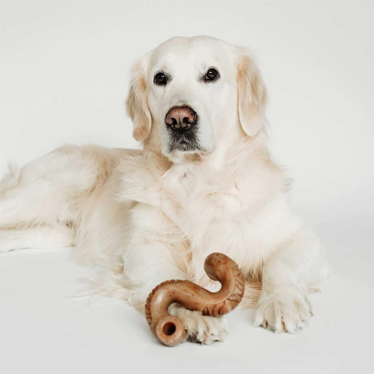 Dog Chew S6500