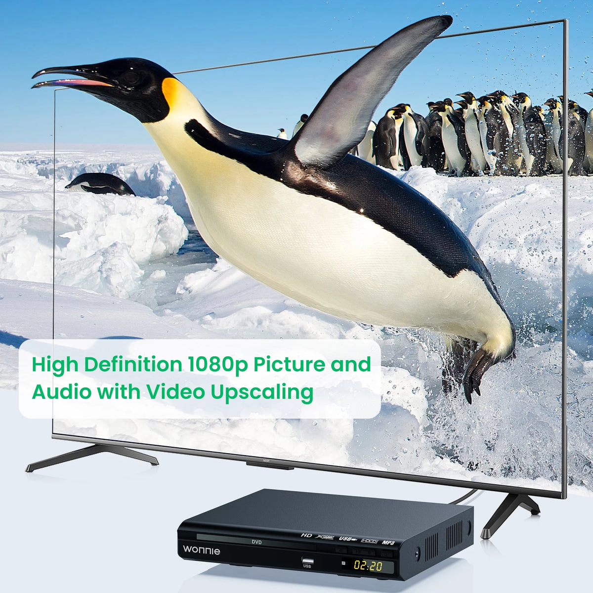 DVD Player with HD AV Coaxial Output and USB Input I271