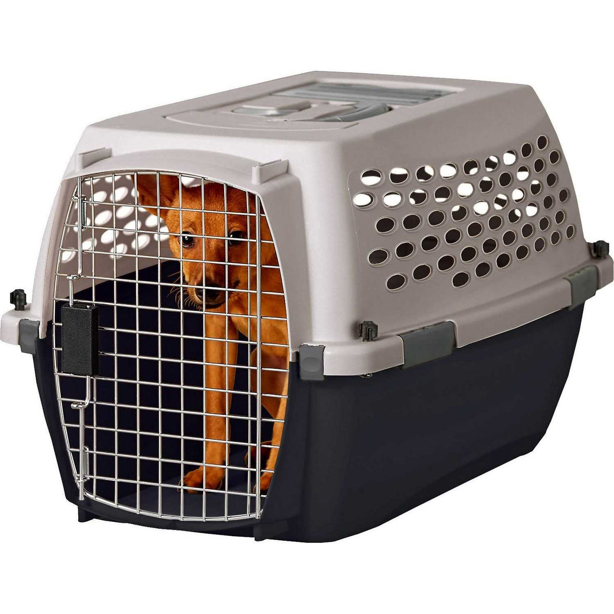 Pet Kennel X105