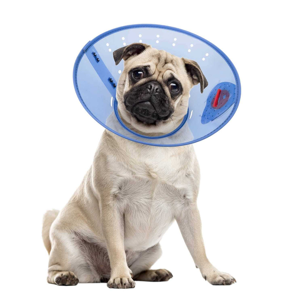Calming Dog E-Collar K385
