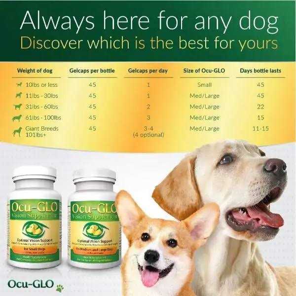 Medium to Large Dogs N518218
