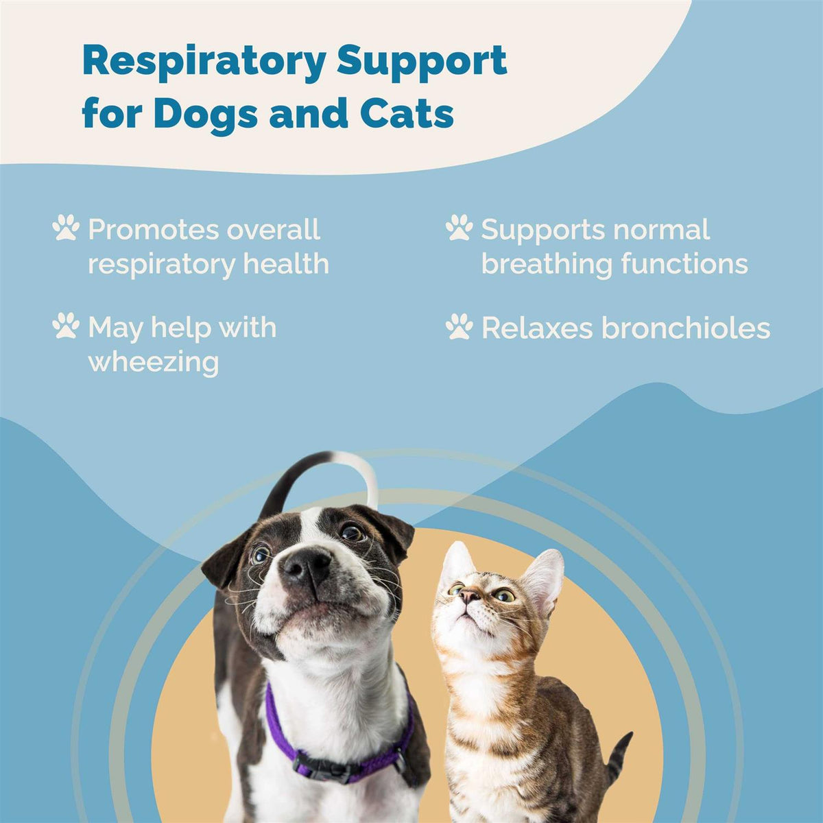 Respiratory Support Supplement for Dogs & Cats I7184