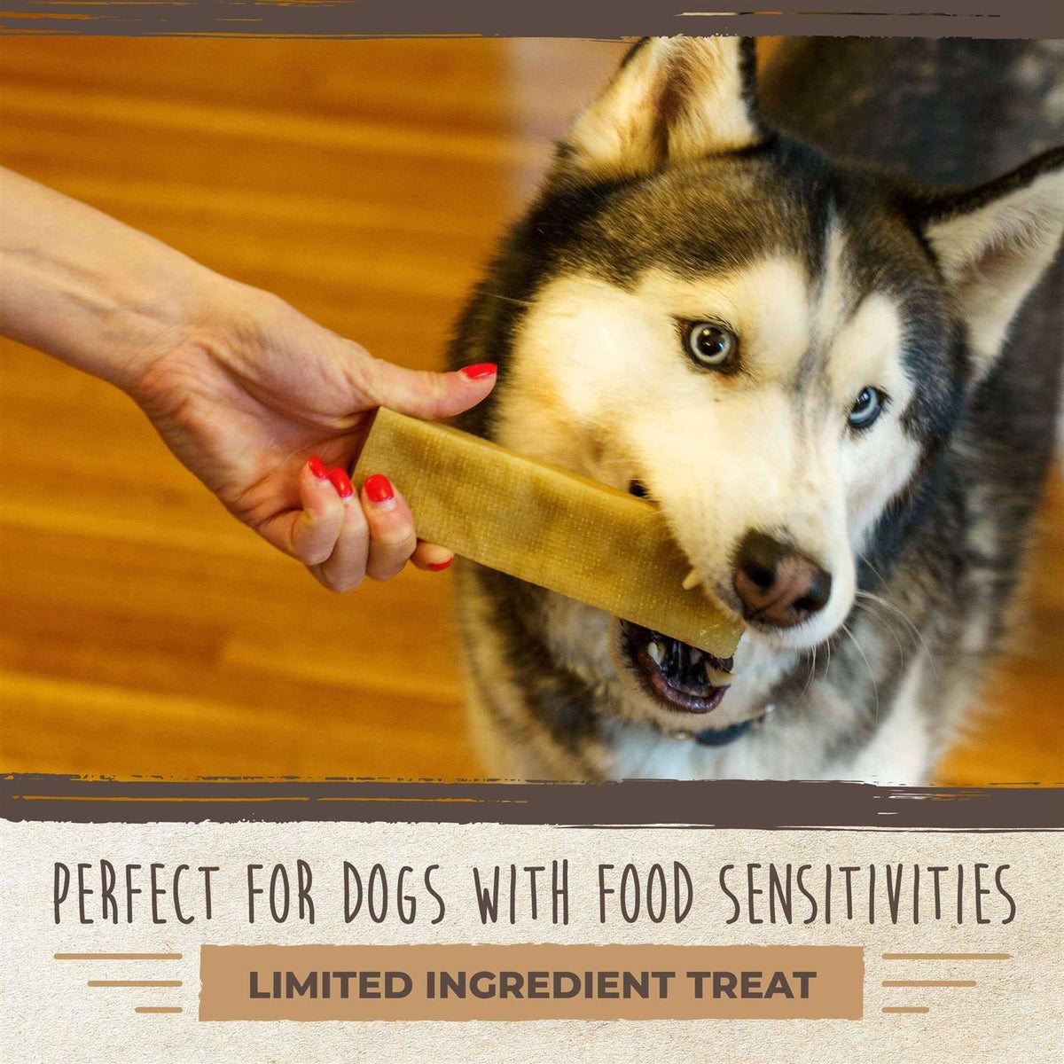 Yak Cheese Chews for Dogs N703284