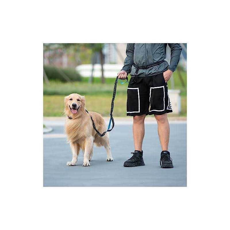 Hands Free Dog Leash with Zipper Pouch and Padded Handles E411