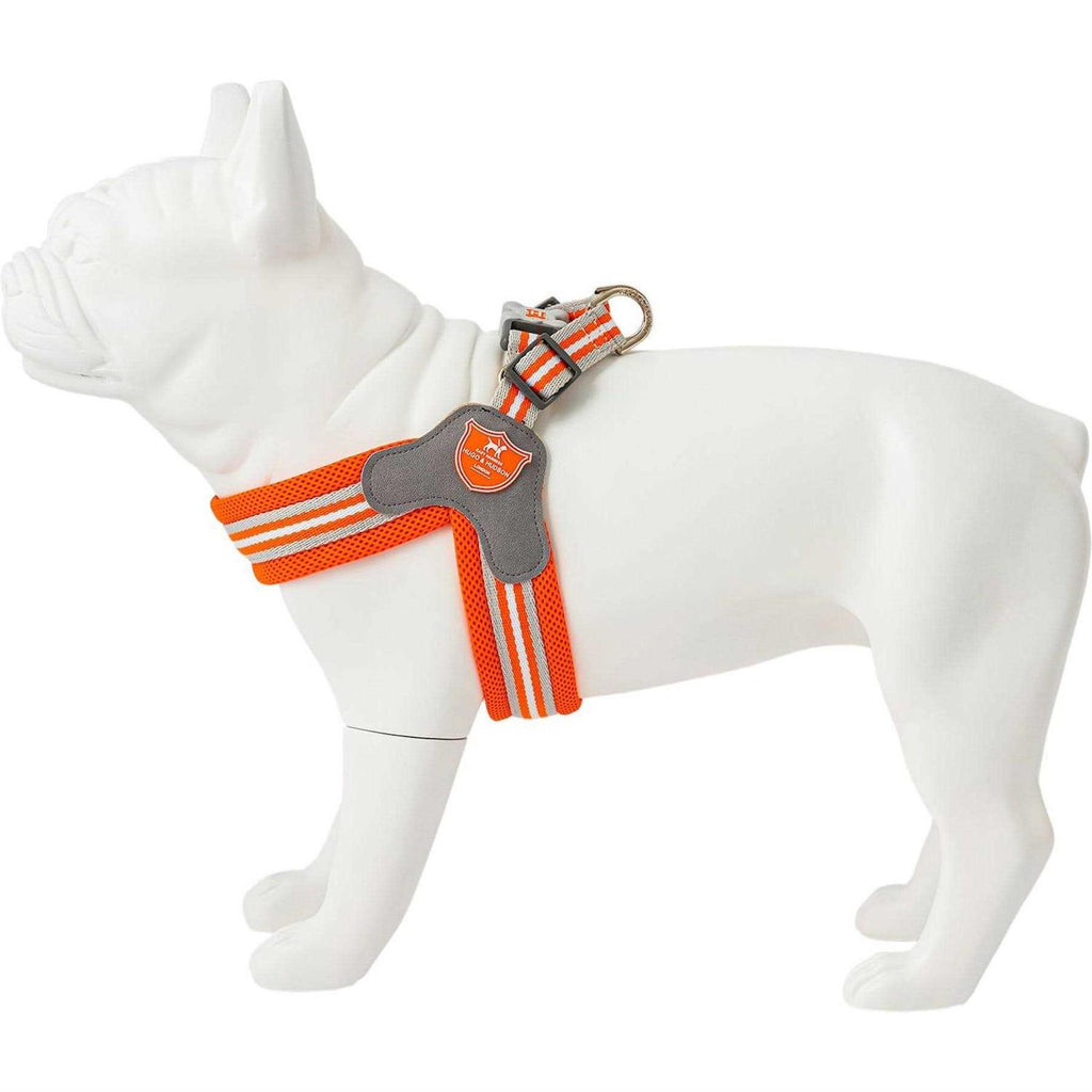 Dog Harness V338